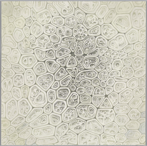 Alexander Ross. Untitled