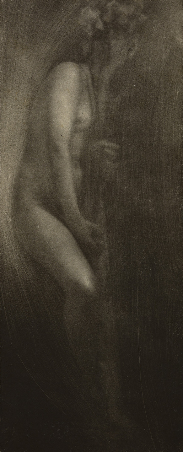 Edward Steichen. Figure with Iris. 1902