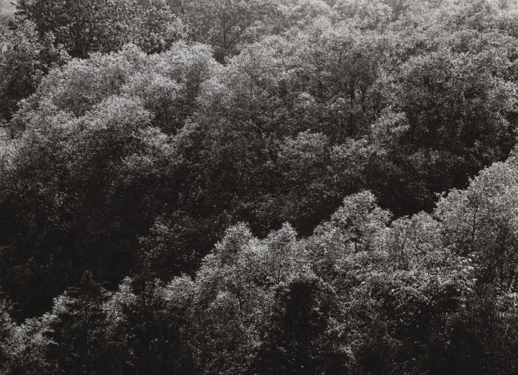 Detroit, Harry Callahan, 1944