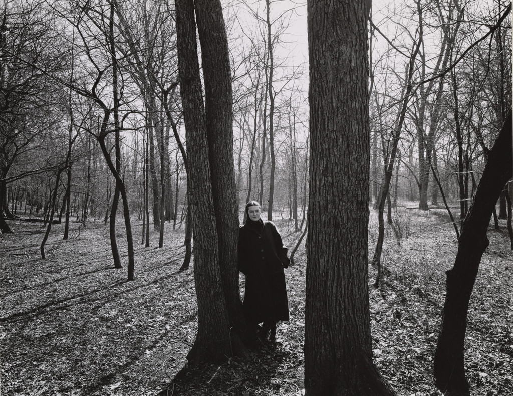 Eleanor, Chicago