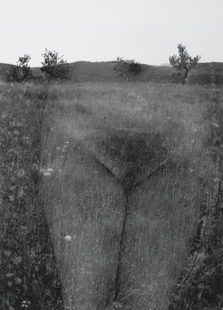 Eleanor, Aix-en-Provence