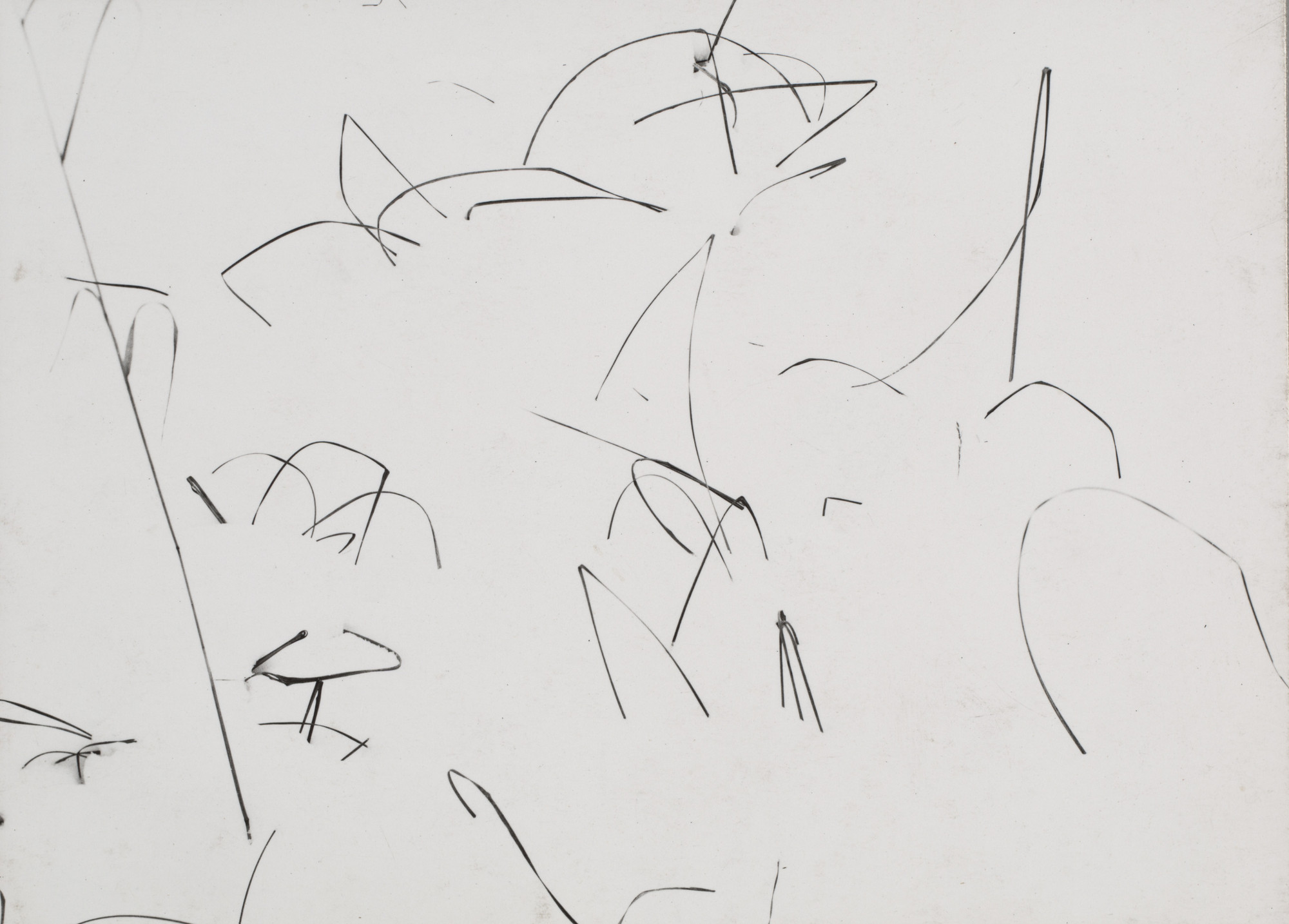 Harry Callahan. Weeds in Snow, Detroit