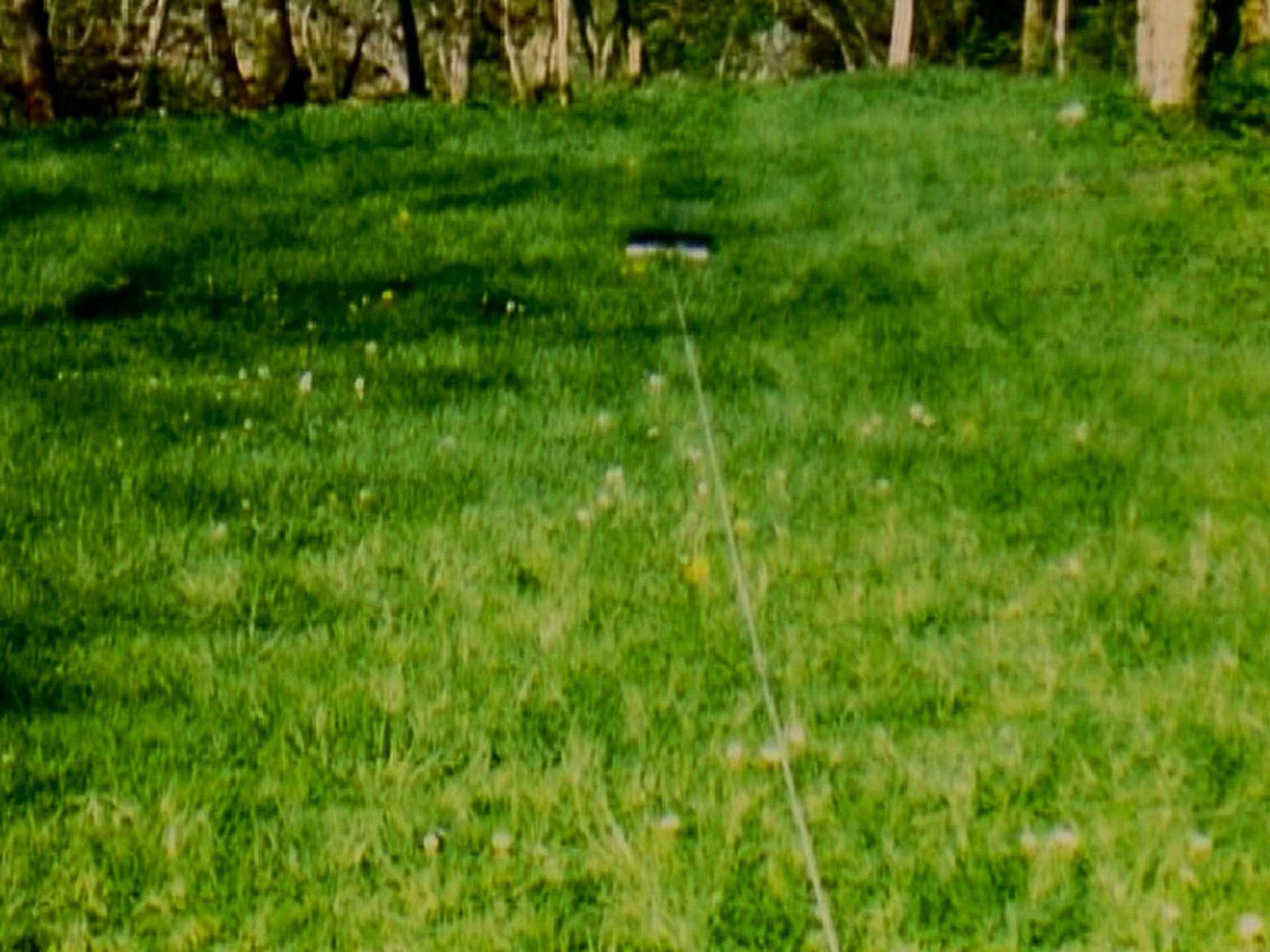 Roman Signer. Briefcase. 1988