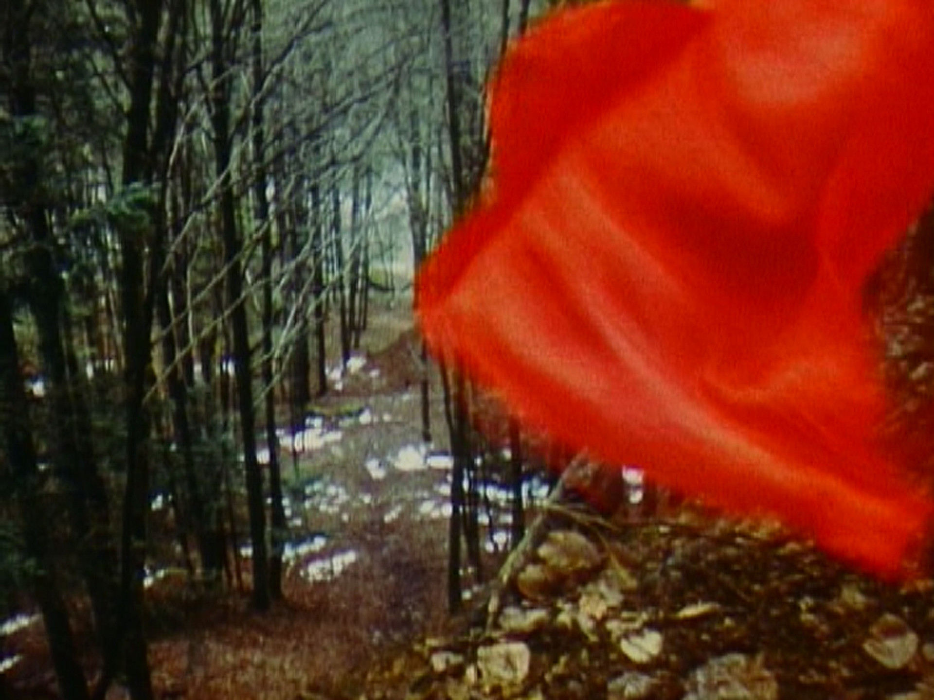 Roman Signer. Flag. 1988