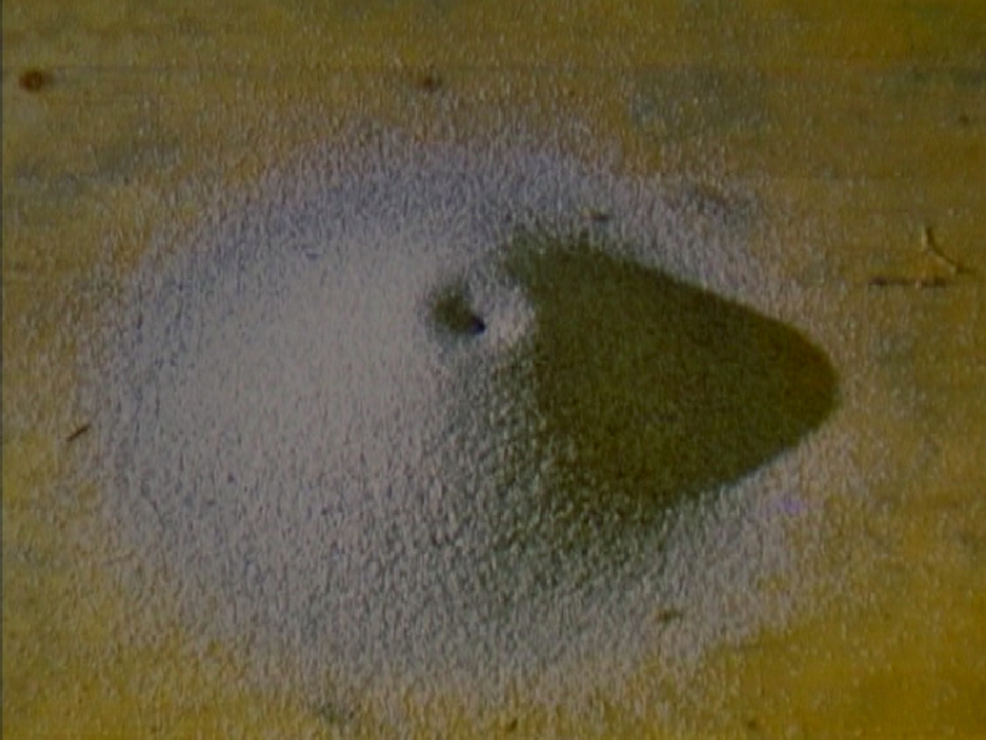 Roman Signer. Shot. 1987