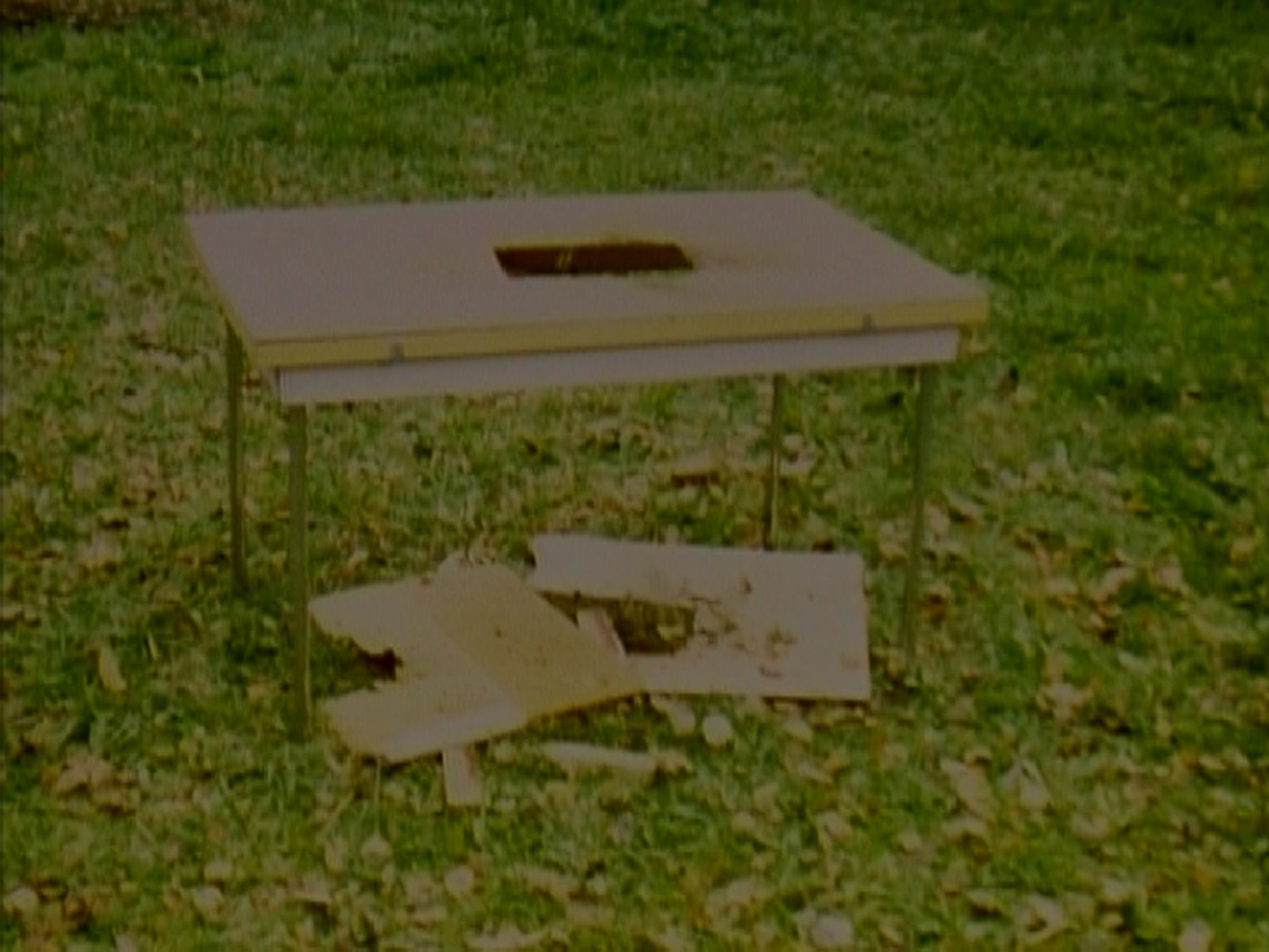 Roman Signer. Table. 1987