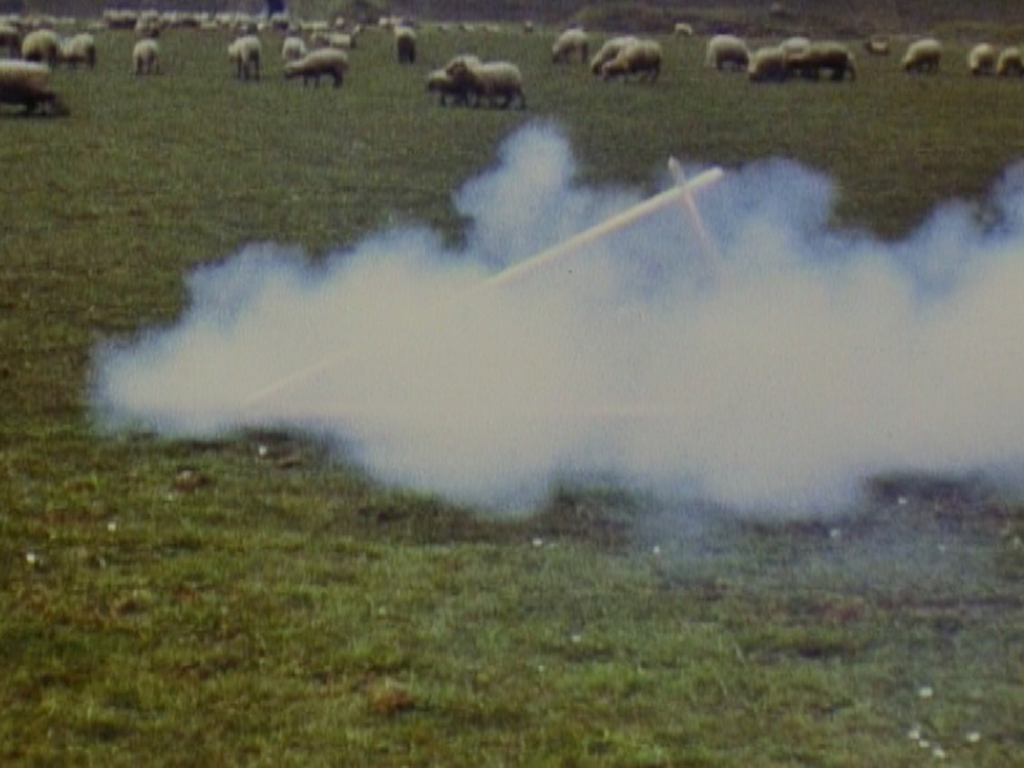 Roman Signer. Flap
