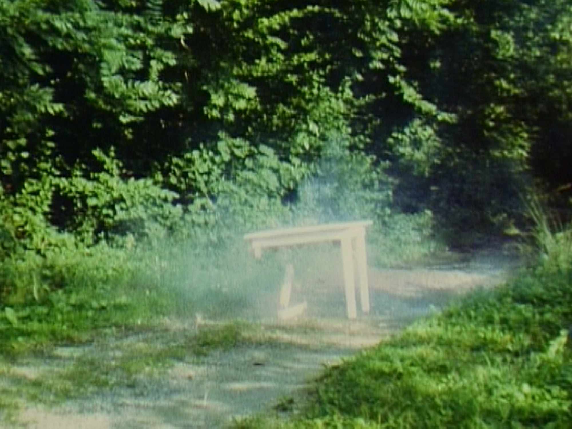 Roman Signer. Table