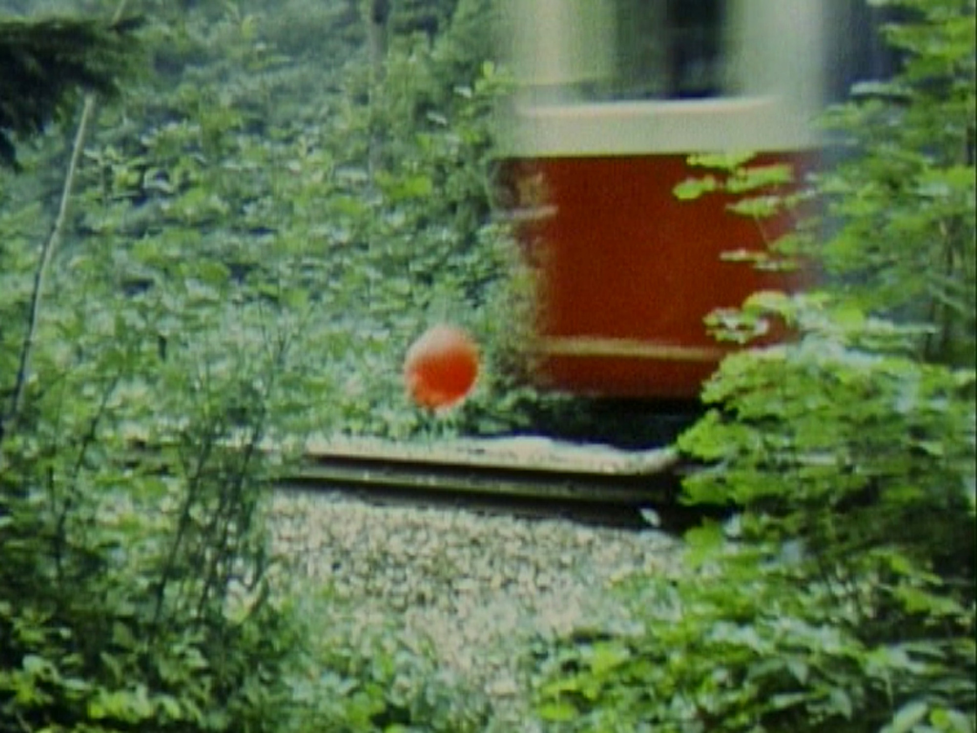 Roman Signer. Balloon on Track