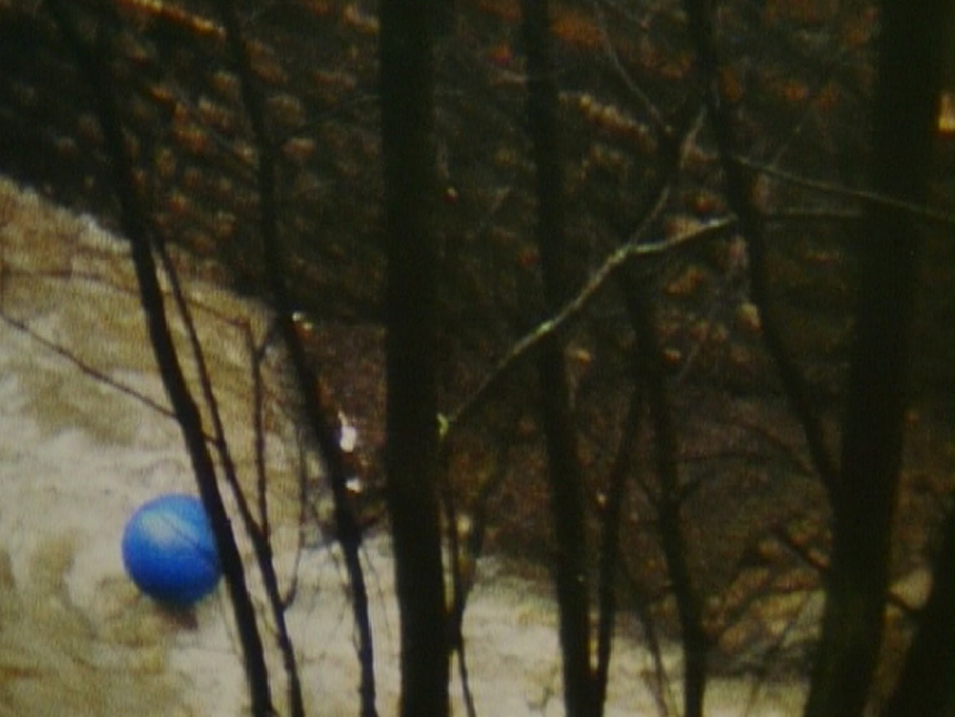 Roman Signer. Blue Air Balloon. 1980