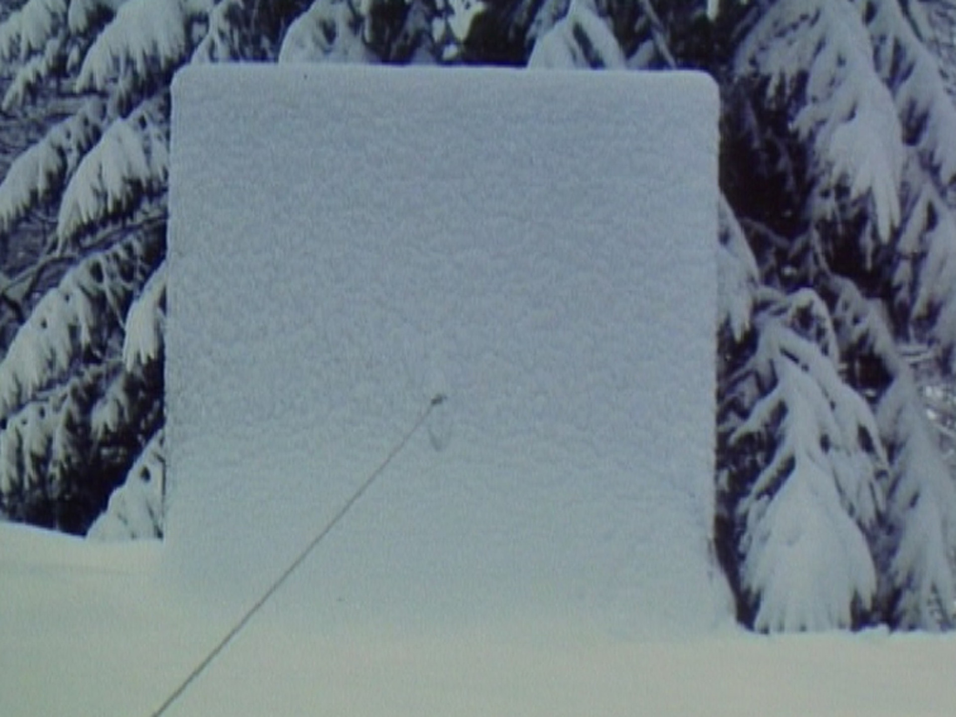 Roman Signer. Board. 1980