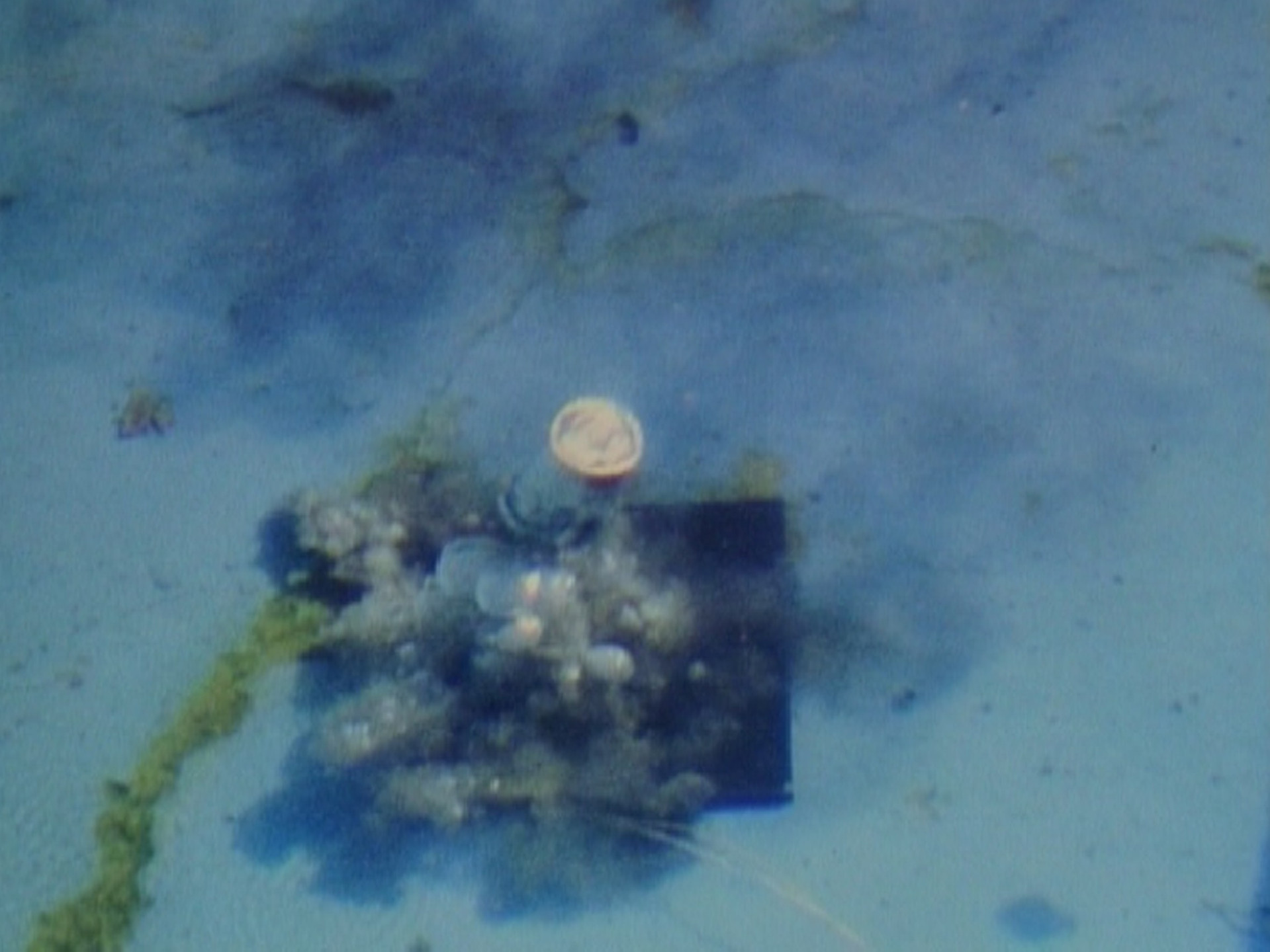 Roman Signer. Container under Water. 1980