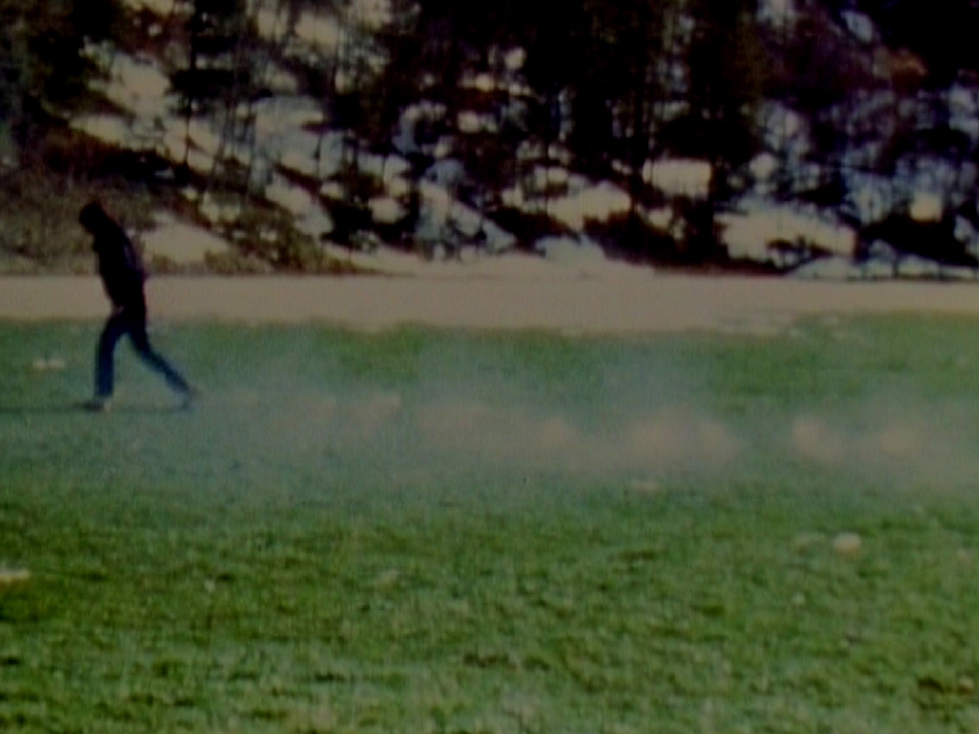 Roman Signer. Line. 1980