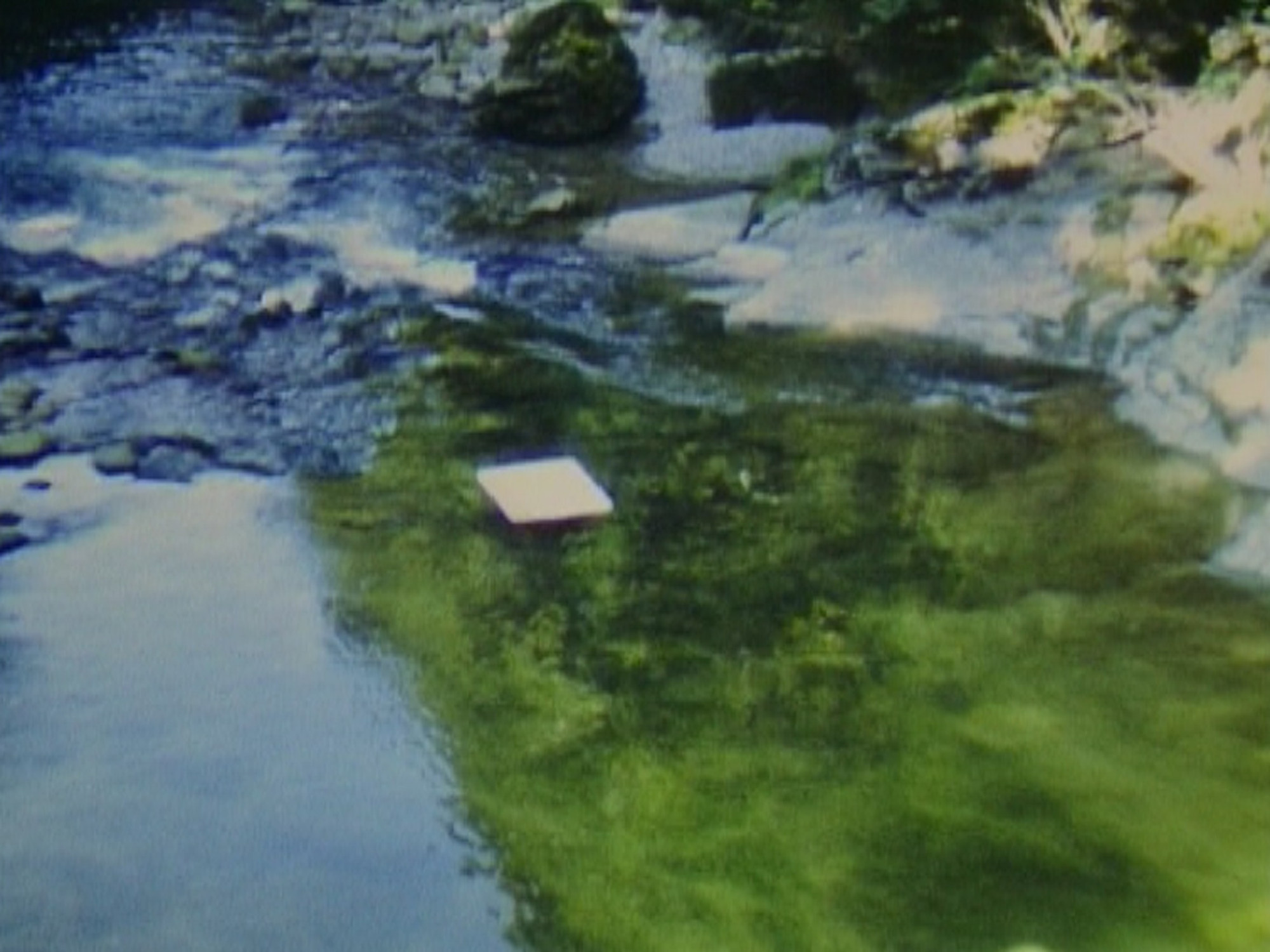 Roman Signer. Paper in River