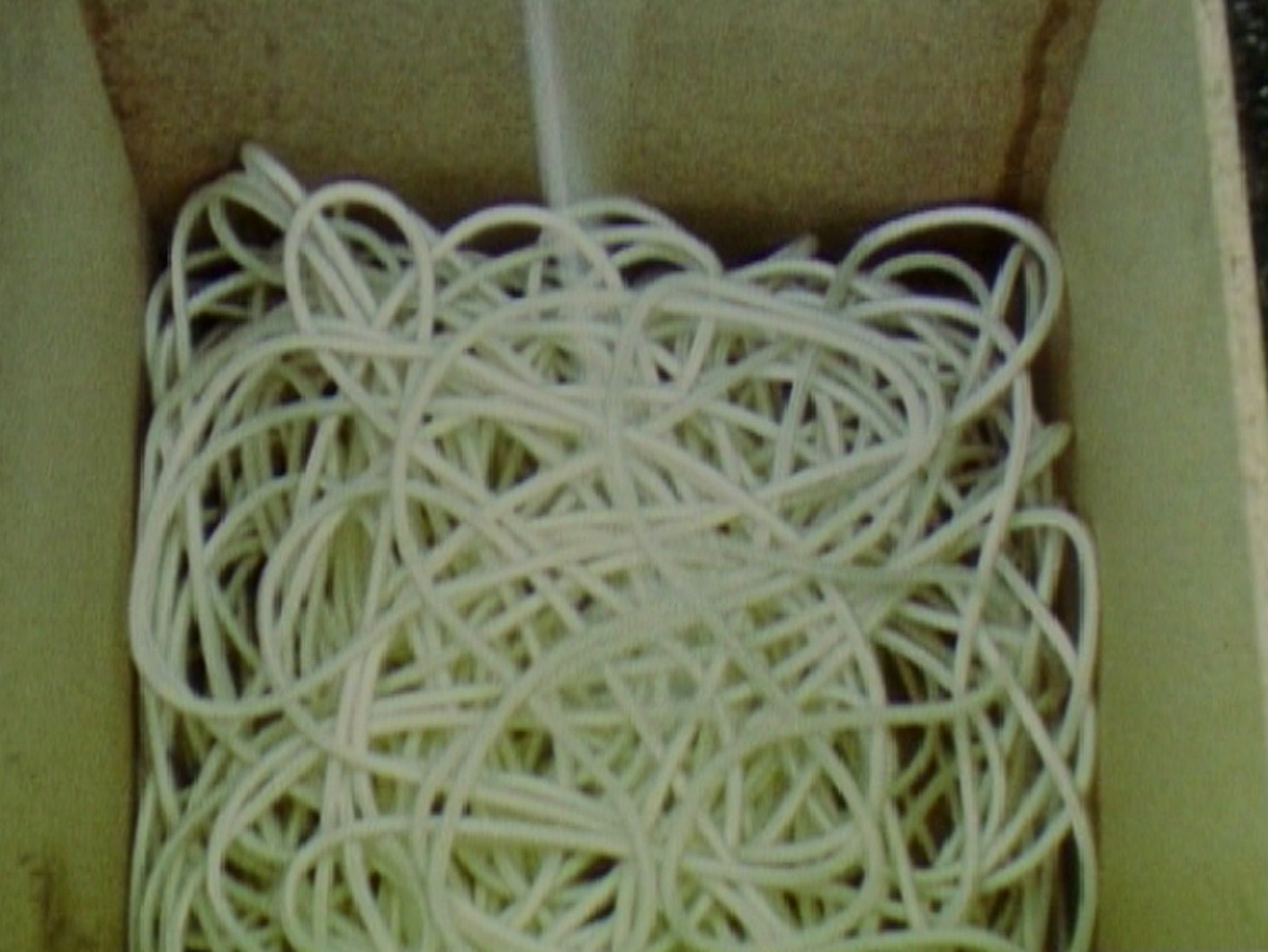 Roman Signer. Rope. 1980