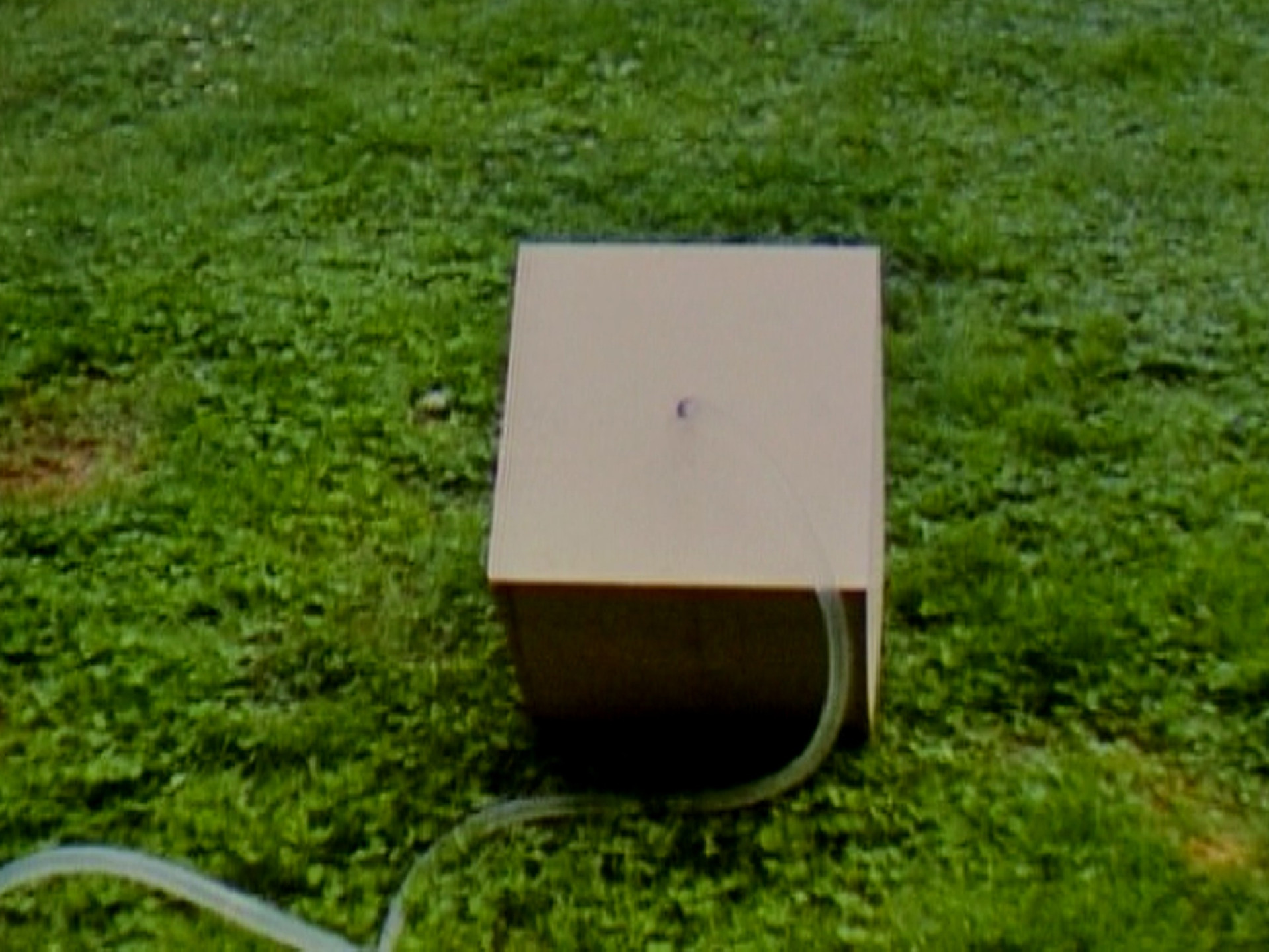 Roman Signer. Box 2. 1979