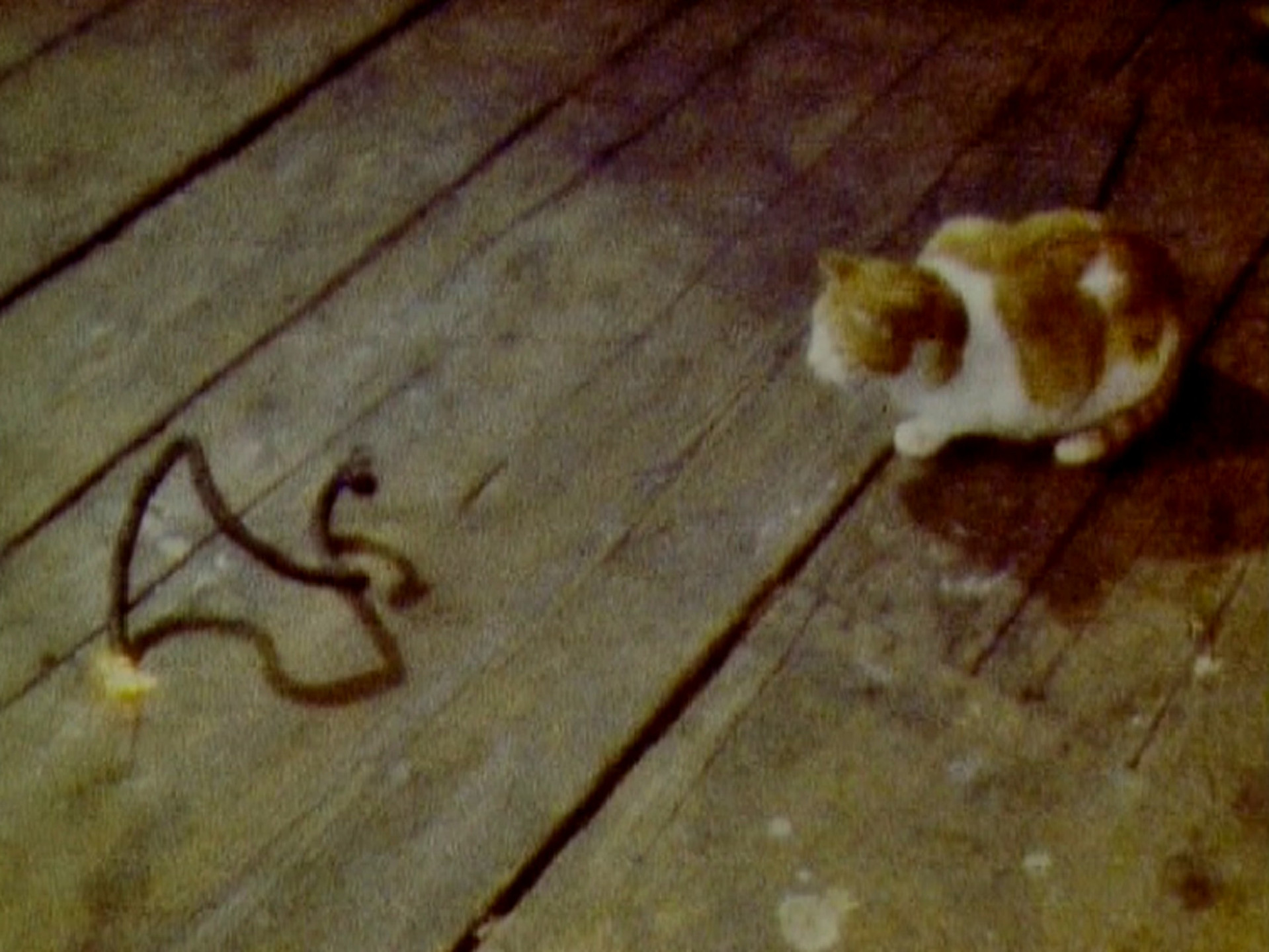 Roman Signer. Cat. 1979