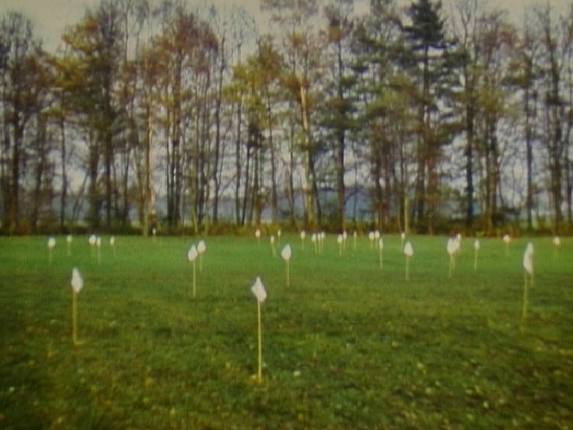Roman Signer. Box. 1976