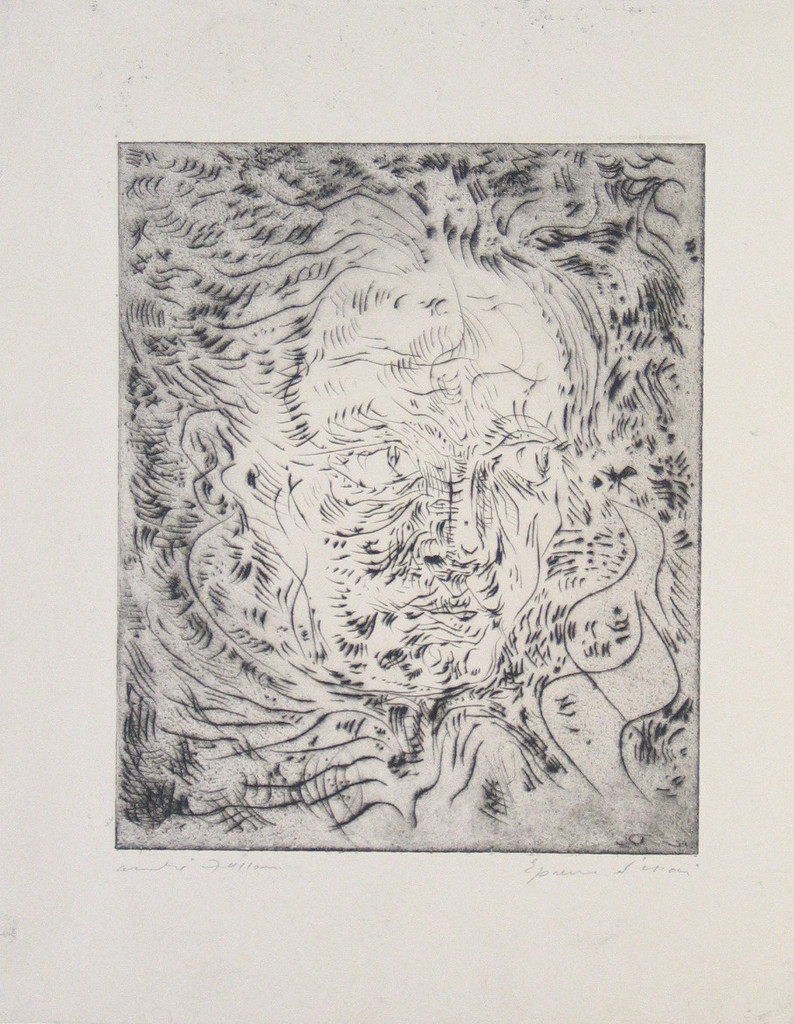 Portrait with a May-Fly (Portrait à l'éphémère)