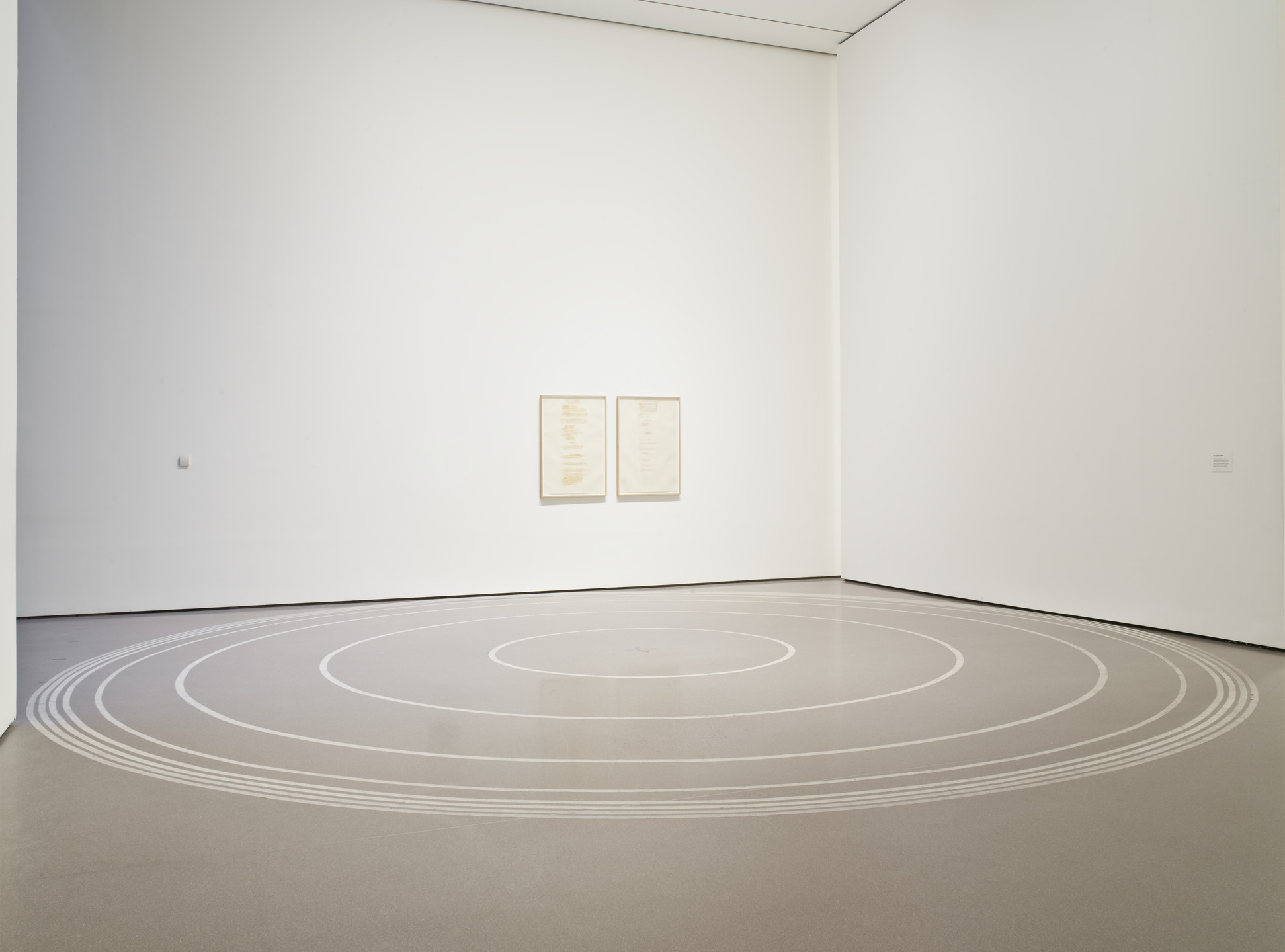 Bruce Nauman. Cones Cojones. 1973–75