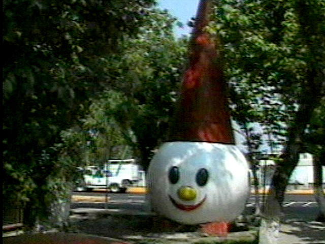 Ximena Cuevas. Kansas Boulevard (Calzoda de Kansas)