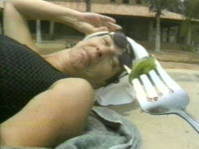 We're Here to Serve You (Estamos Para Servile)