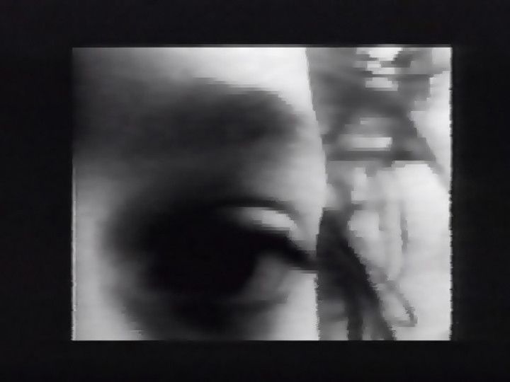 Sadie Benning. Living Inside. 1989