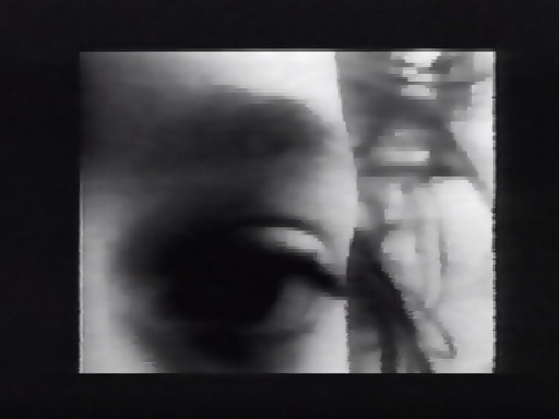 Sadie Benning. Living Inside. 1989