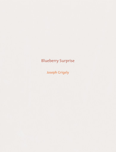 Joseph Grigely. Blueberry Surprise