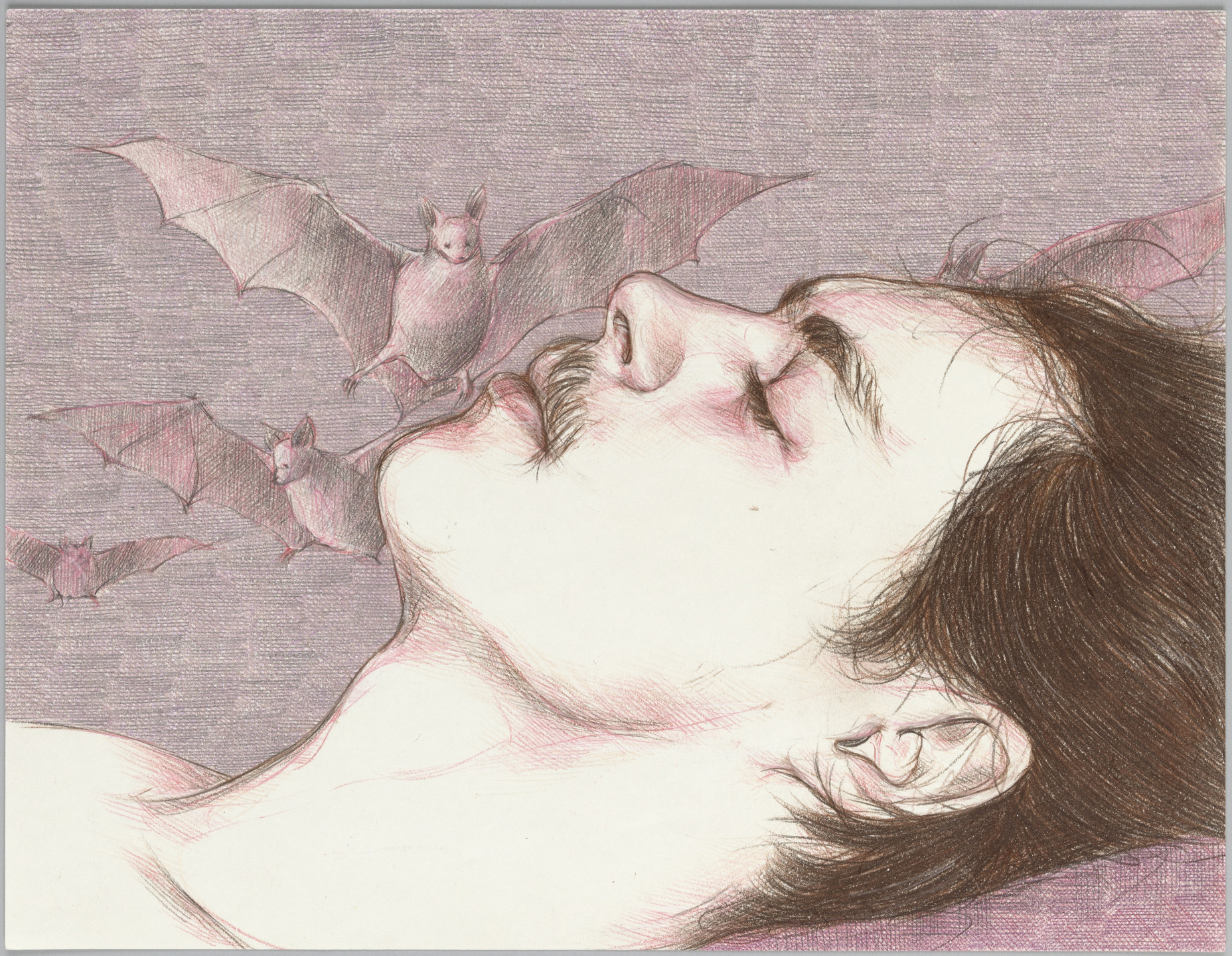 Paul P.. Untitled. 2003