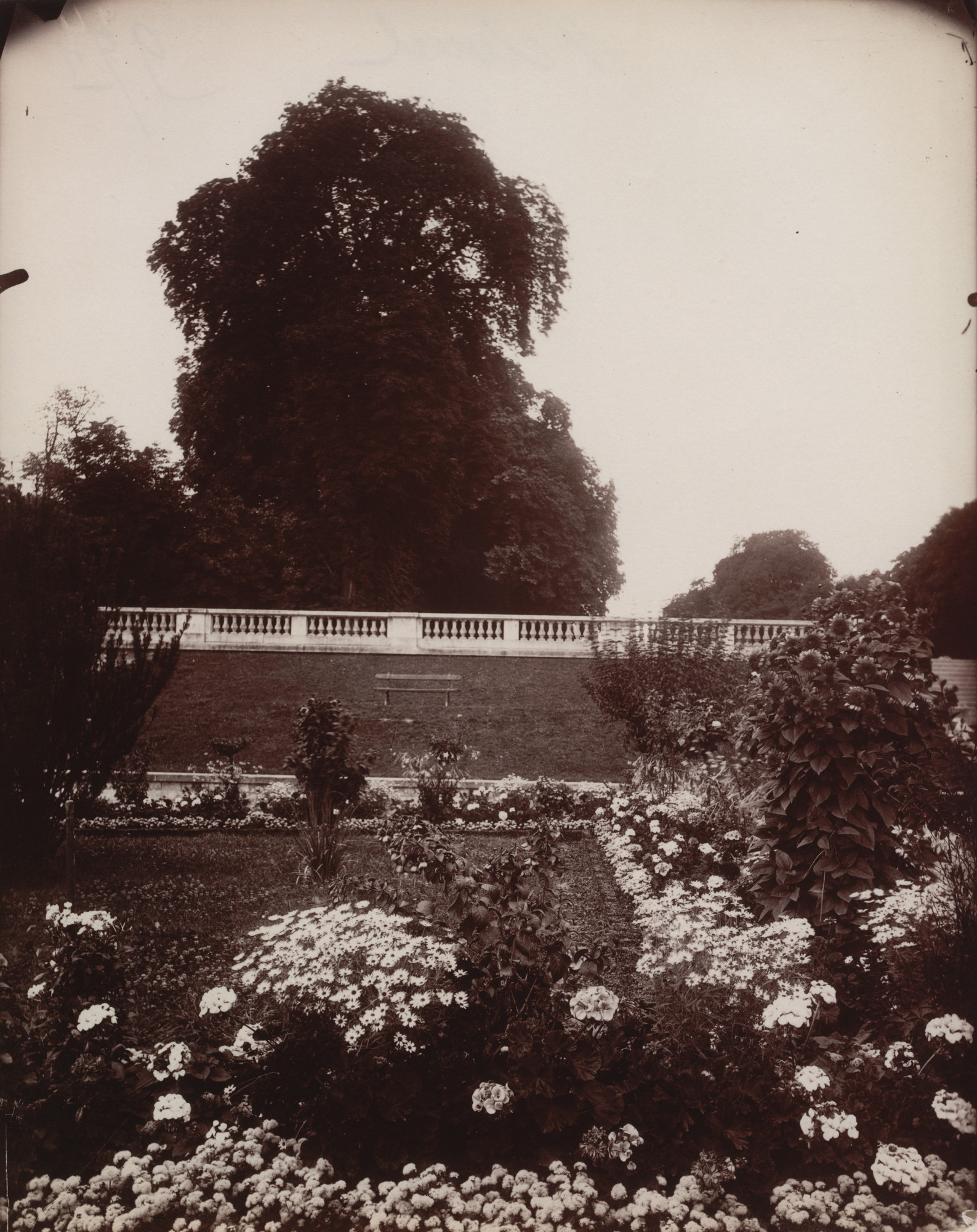 Eugène Atget. Saint-Cloud