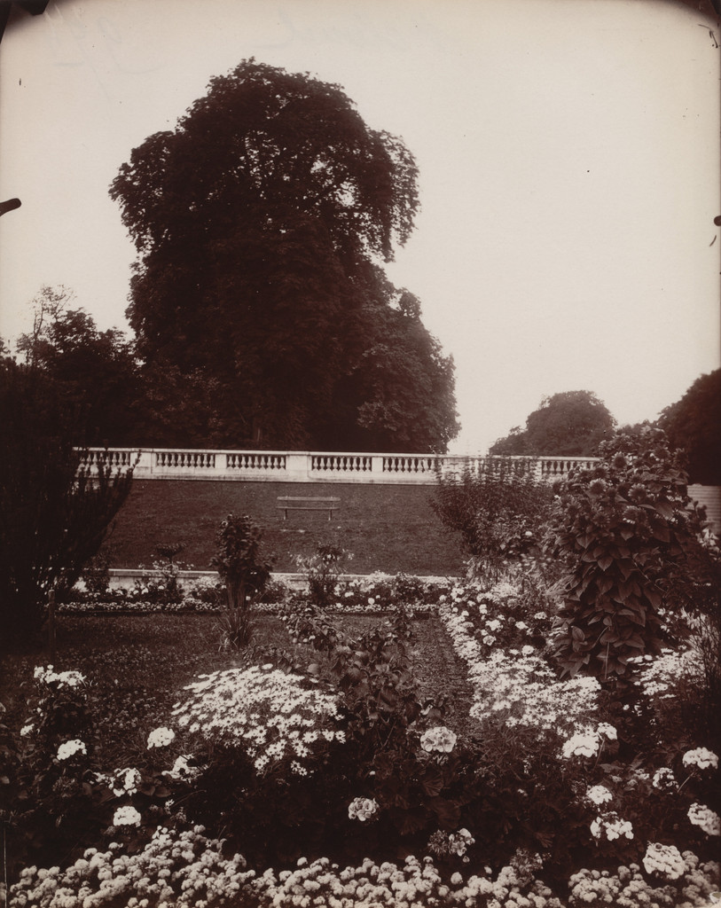 Saint-Cloud, Eugène Atget, 1919-21