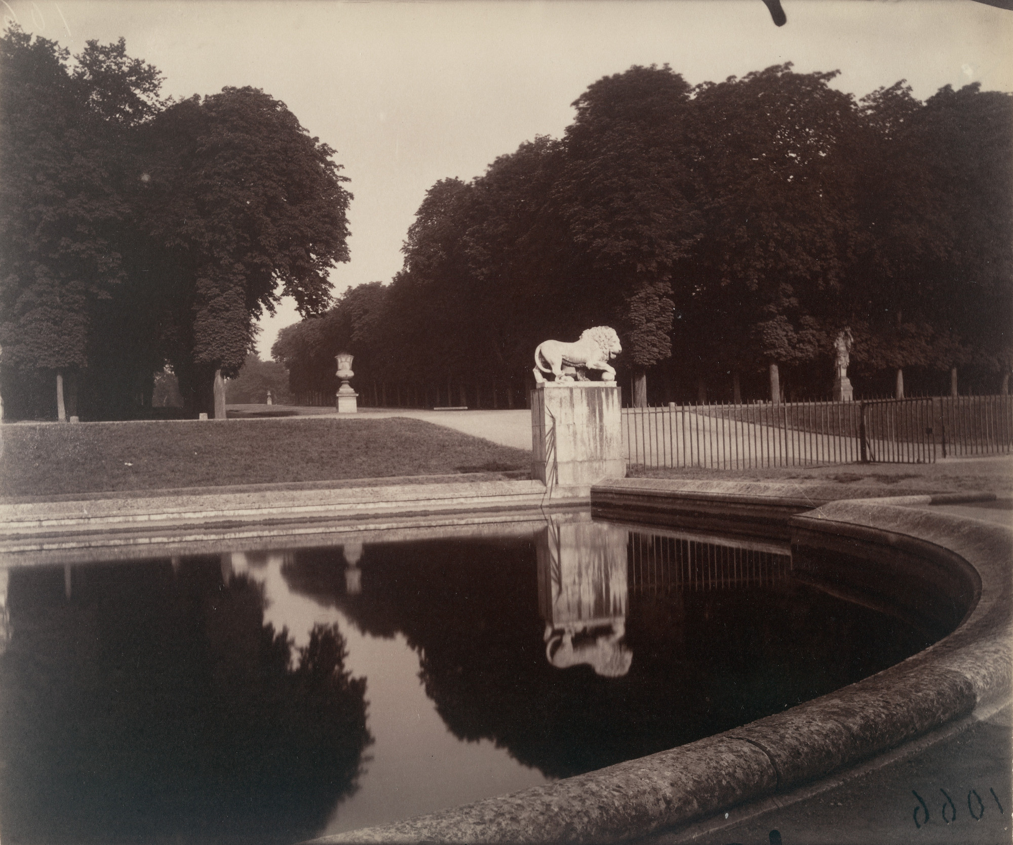 Eugène Atget. Parc de Saint-Cloud. Morning, 7:00, July 1921 | MoMA
