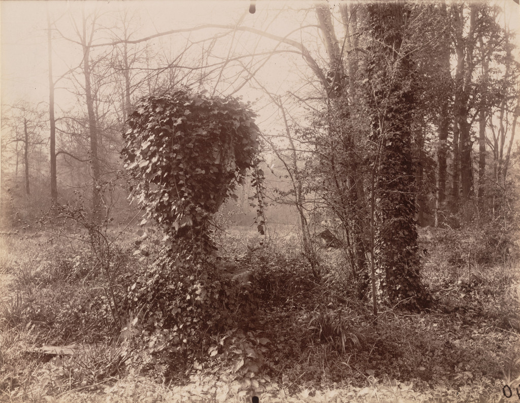 Parc de Sceaux [avril, 7 heures du matin]