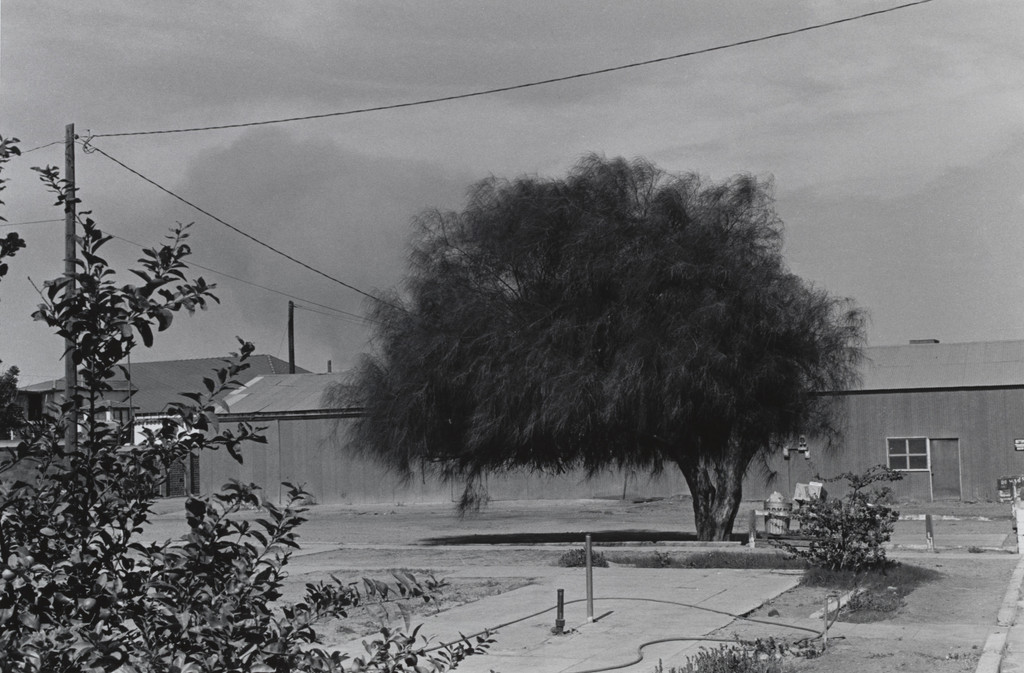 Yuma, Arizona