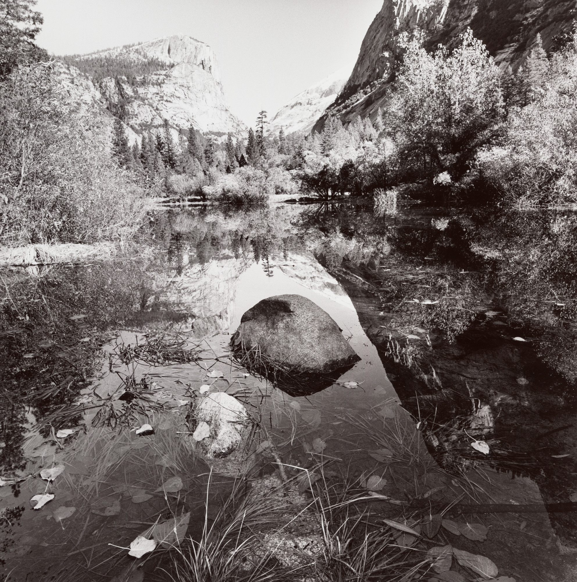 Lee Friedlander. Yosemite National Park, California