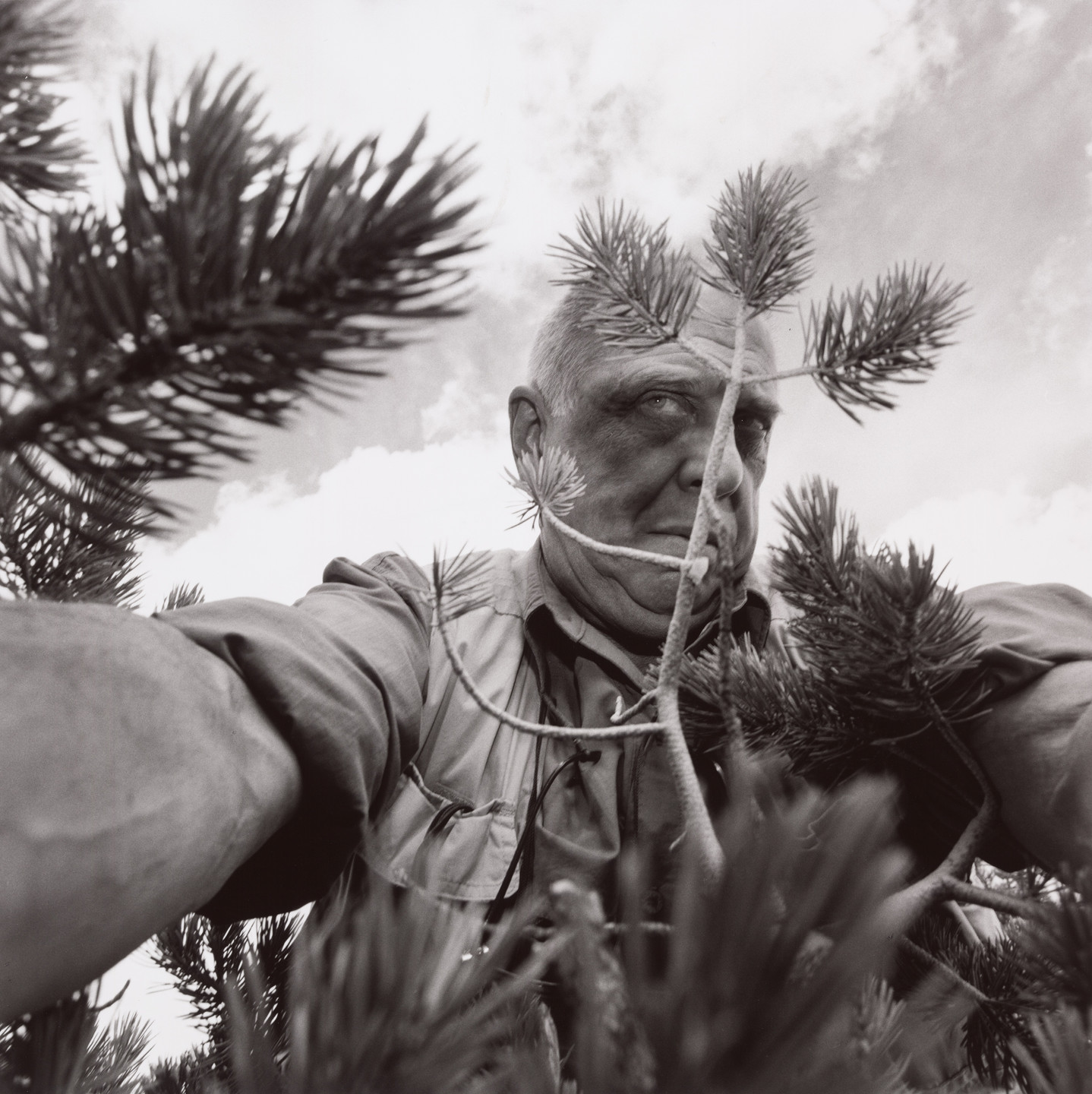 Lee Friedlander. California. 1997