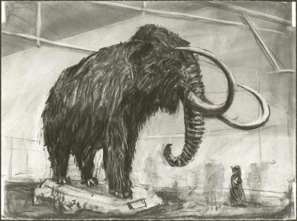 Drawing from Zeno Writing
