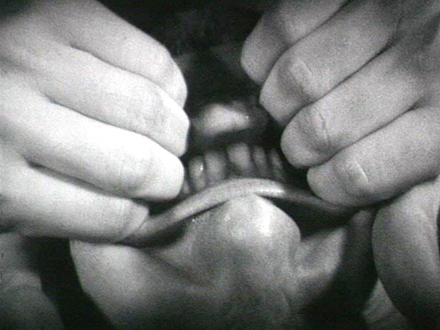 Bruce Nauman. Pulling Mouth