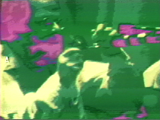 Nam June Paik, Shigeko Kubota. Allan 'n' Allen's Complaint