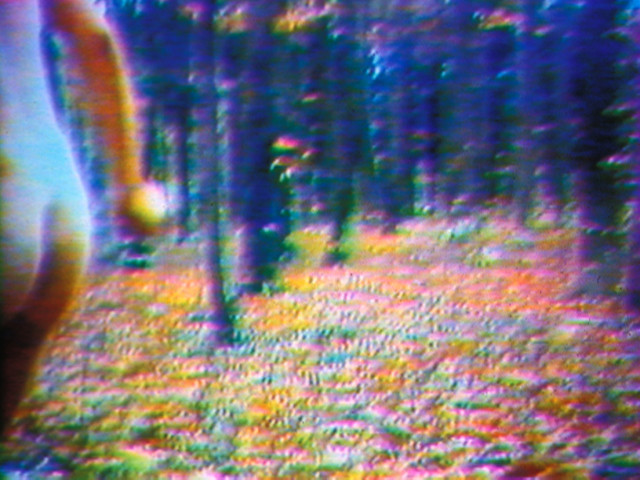 Pipilotti Rist. Sexy Sad I. 1987