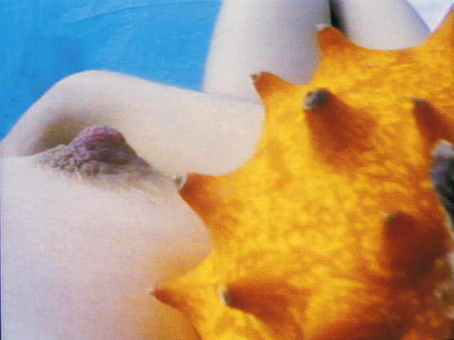 Pipilotti Rist. Pickelporno. 1992