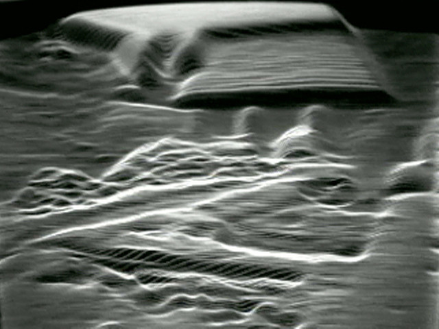 Steina, Woody Vasulka. Reminiscence. 1974