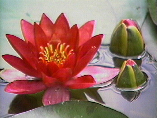 Mary Lucier. Ohio to Giverny: Memory of Light. 1983