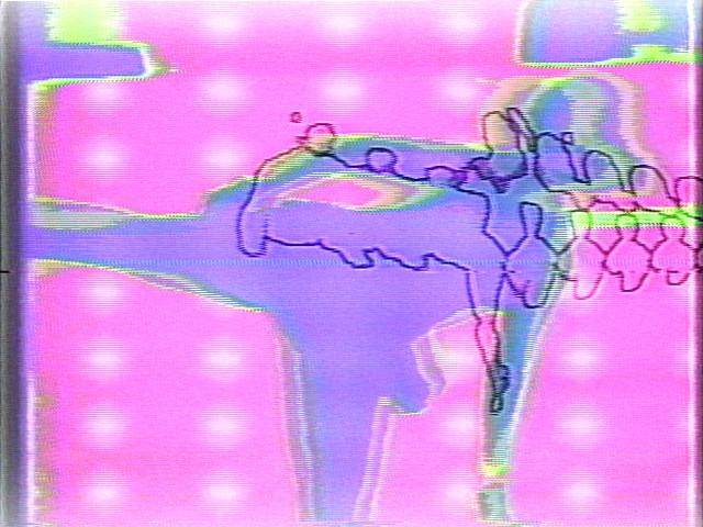 Nam June Paik. Lake Placid '80