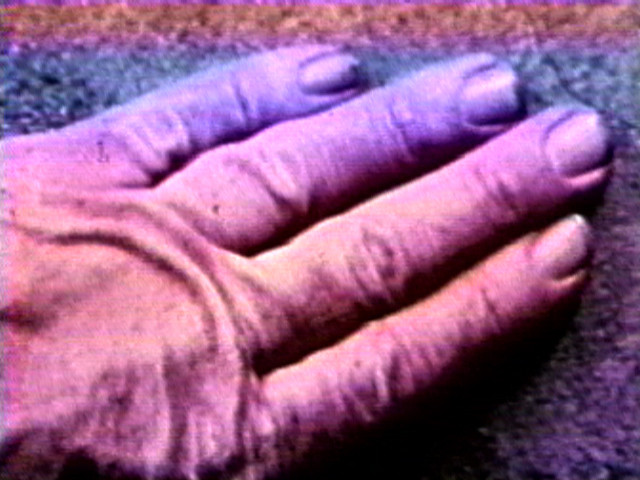 Dennis Oppenheim. Program Five