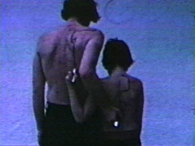 Dennis Oppenheim. A Feedback Situation