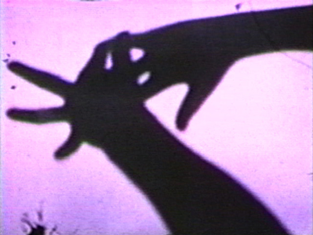 Dennis Oppenheim. Shadow Project