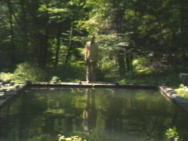 Bill Viola. The Reflecting Pool. 1977-1979