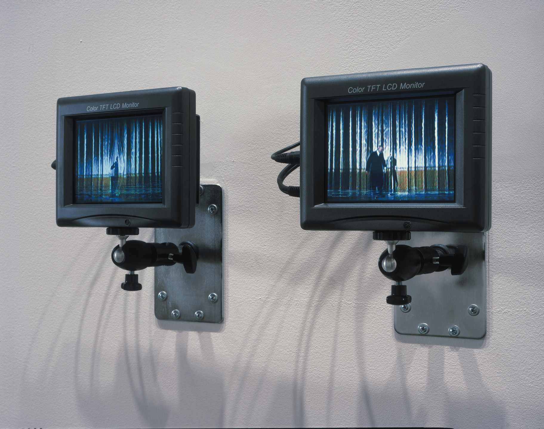 Paul Pfeiffer. Prologue to the Story of the Birth of Freedom. 2000